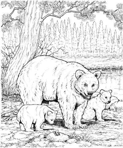 American Black Bear Family Coloring Page